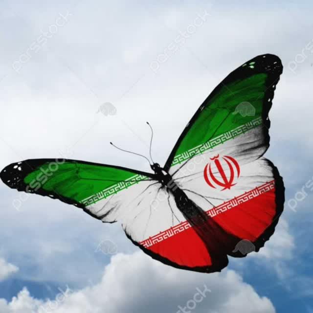 مصطفی آهنی