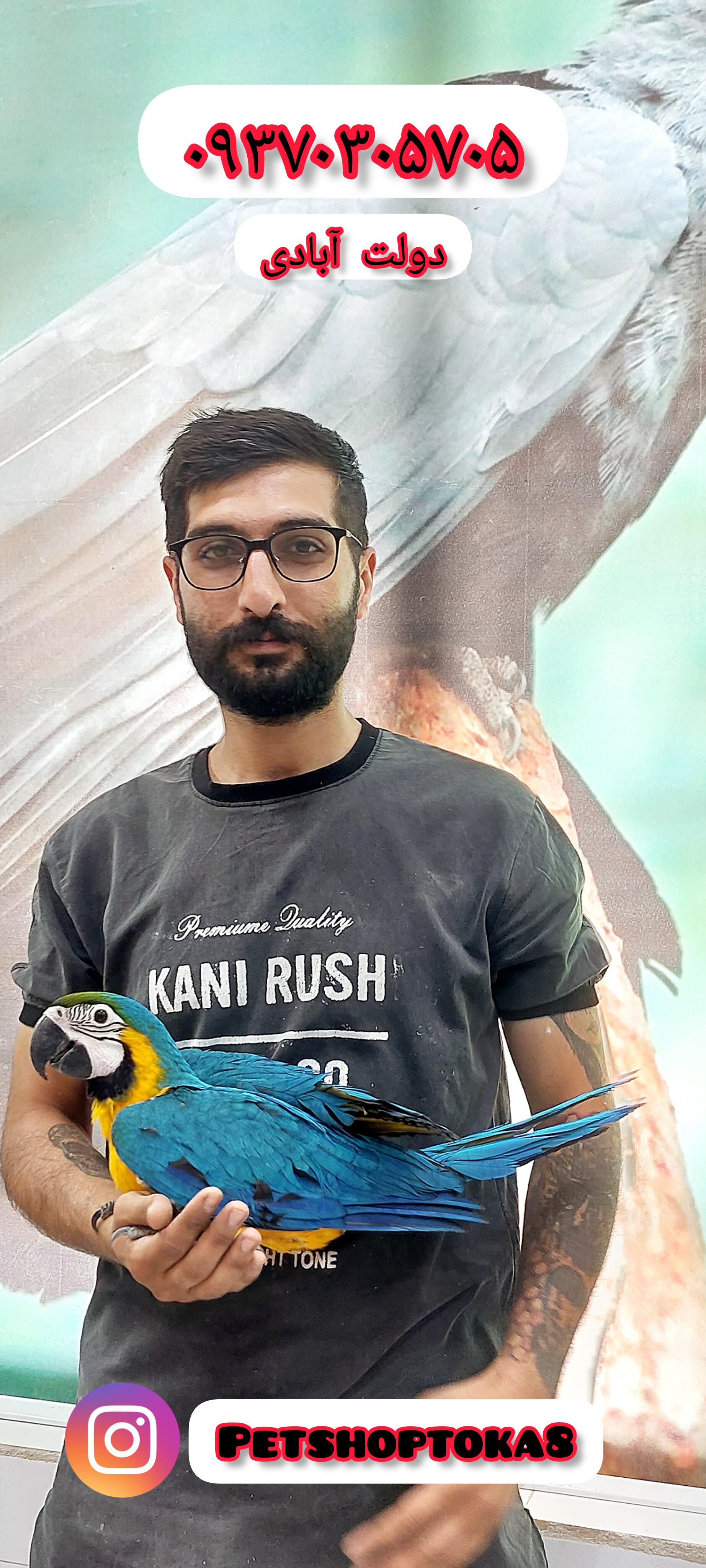 کامیار دولت آبادی